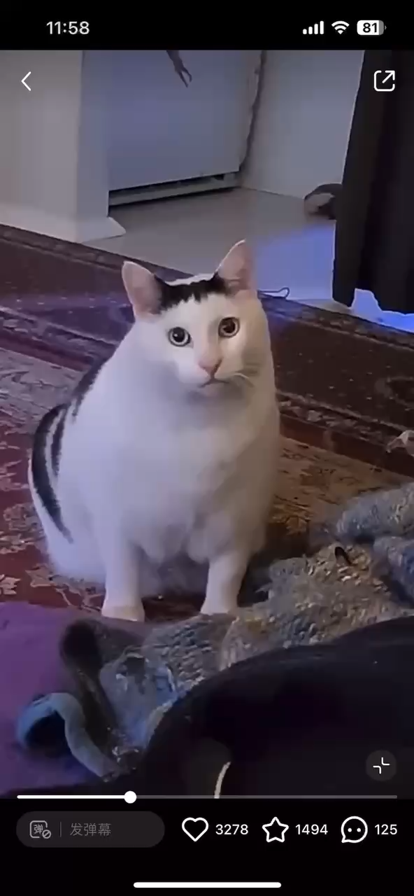 单规格仅一个视频封面（隐藏规格选项）